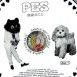 PES “素敵なこと”  [Inner of CD Package] / 2012”