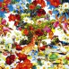 オレンジペコー - opange pekoe “Wild Flowers” [CD Outer Sleeve] / 2007